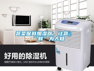 知識百科蔬菜保鮮加濕器，讓蔬菜“鮮”為人知