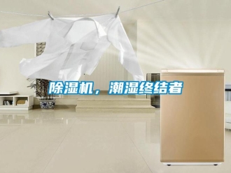常見問題除濕機(jī)，潮濕終結(jié)者