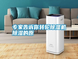 知識百科專家告訴你轉(zhuǎn)輪除濕機(jī)除濕的原