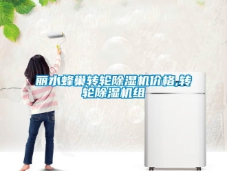 常見問題麗水蜂巢轉(zhuǎn)輪除濕機價格,轉(zhuǎn)輪除濕機組