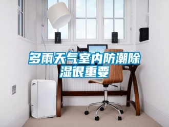 企業(yè)新聞多雨天氣室內防潮除濕很重要