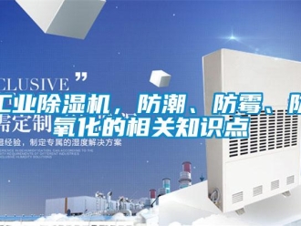 企業(yè)新聞工業(yè)除濕機(jī)，防潮、防霉、防氧化的相關(guān)知識(shí)點(diǎn)