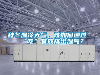 常見問題秋冬濕冷天氣，該如何通過“吃”有效排出濕氣？