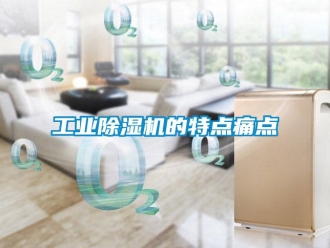 企業(yè)新聞工業(yè)除濕機(jī)的特點(diǎn)痛點(diǎn)