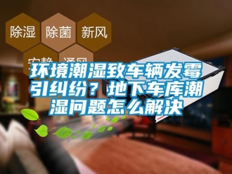 常見問題環(huán)境潮濕致車輛發(fā)霉引糾紛？地下車庫潮濕問題怎么解決