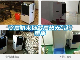 常見問(wèn)題除濕機(jī)來(lái)拯救濕熱天氣梅雨季