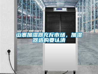知識(shí)百科山寨加濕器充斥市場(chǎng)，加濕器選購(gòu)要認(rèn)清