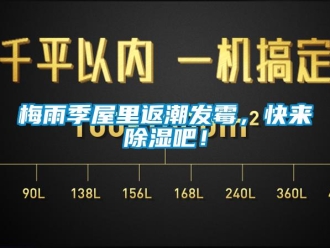 行業(yè)新聞梅雨季屋里返潮發(fā)霉，快來除濕吧！