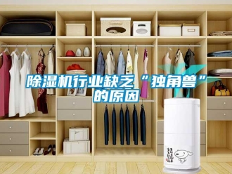 企業(yè)新聞除濕機(jī)行業(yè)缺乏“獨(dú)角獸”的原因