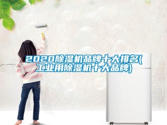 常見問(wèn)題2020除濕機(jī)品牌十大排名(工業(yè)用除濕機(jī)十大品牌)