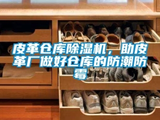 行業(yè)新聞皮革倉庫除濕機(jī)，助皮革廠做好倉庫的防潮防霉