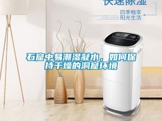 常見問題石窟中易潮濕凝水，如何保持干燥的洞窟環(huán)境