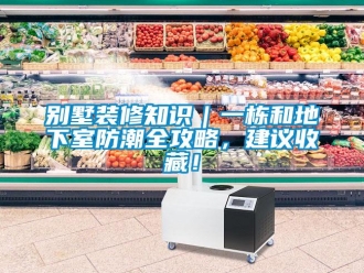 企業(yè)新聞別墅裝修知識(shí)｜一棟和地下室防潮全攻略，建議收藏！
