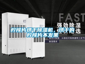 行業(yè)新聞檸檬片烘干除濕機(jī)，烘干的檸檬片不發(fā)黑
