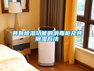 企業(yè)新聞具有除濕功能的消毒柜及其除濕方法