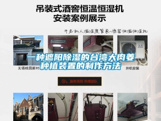 行業(yè)新聞一種遮陽(yáng)除濕的臺(tái)灣大肉姜種植裝置的制作方法