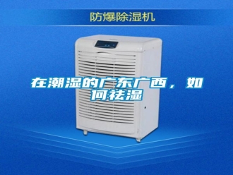常見問(wèn)題在潮濕的廣東廣西，如何祛濕