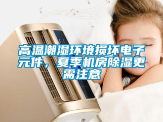 企業(yè)新聞高溫潮濕環(huán)境損壞電子元件，夏季機(jī)房除濕更需注意