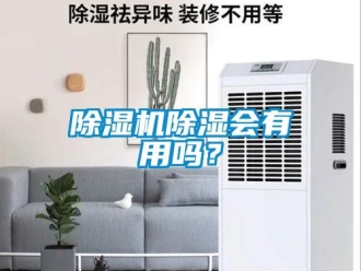 常見問題除濕機(jī)除濕會有用嗎？