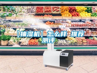 企業(yè)新聞【抽濕機】怎么樣 推薦 測評