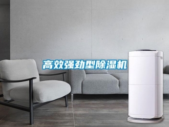 企業(yè)新聞高效強勁型除濕機