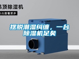 常見問題擺脫潮濕糾纏，一臺除濕機足矣