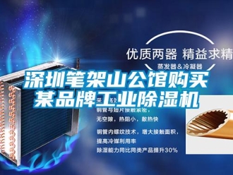 知識(shí)百科深圳筆架山公館購(gòu)買(mǎi)某品牌工業(yè)除濕機(jī)