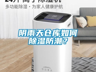 常見問題陰雨天倉庫如何除濕防潮？