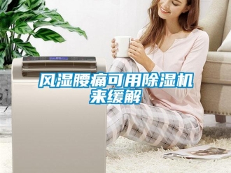 企業(yè)新聞風(fēng)濕腰痛可用除濕機來緩解