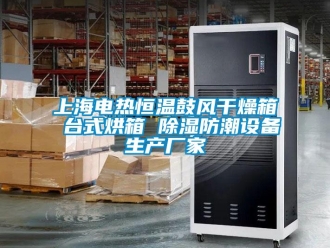 知識百科上海電熱恒溫鼓風(fēng)干燥箱 臺式烘箱 除濕防潮設(shè)備生產(chǎn)廠家
