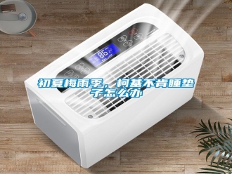 常見問題初夏梅雨季，柯基不肯睡墊子怎么辦