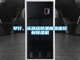 行業(yè)新聞琴行、樂(lè)器店防潮用濕度控制除濕機(jī)