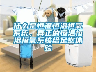 知識百科什么是恒溫恒濕恒氧系統(tǒng)，真正的恒溫恒濕恒氧系統(tǒng)給足您體驗