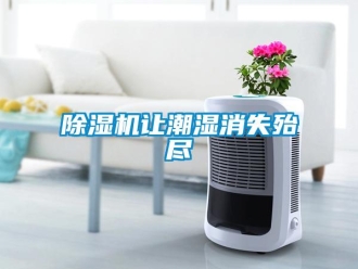 企業(yè)新聞除濕機讓潮濕消失殆盡