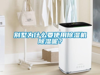 企業(yè)新聞別墅為什么要使用除濕機(jī)除濕呢？