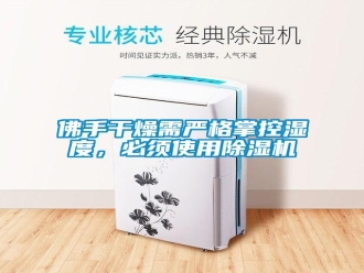 企業(yè)新聞佛手干燥需嚴格掌控濕度，必須使用除濕機