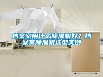 企業(yè)新聞檔案室用什么除濕機好？檔案室除濕機選型實例