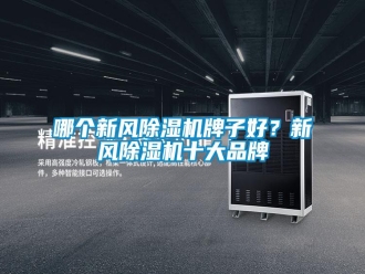 行業(yè)新聞哪個(gè)新風(fēng)除濕機(jī)牌子好？新風(fēng)除濕機(jī)十大品牌