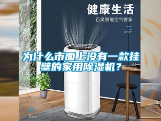 常見問題為什么市面上沒有一款掛壁的家用除濕機？