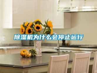 企業(yè)新聞除濕機為什么會停止運行