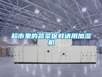 企業(yè)新聞超市里的蔬菜保鮮請用加濕機