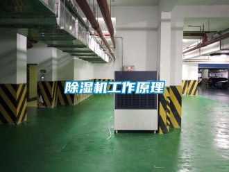 常見(jiàn)問(wèn)題除濕機(jī)工作原理
