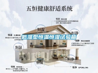 知識(shí)百科低濕型恒溫恒濕試驗(yàn)箱