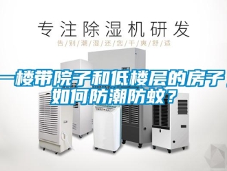 常見問題一樓帶院子和低樓層的房子，如何防潮防蚊？