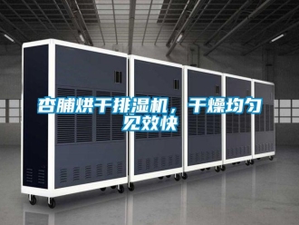 知識百科杏脯烘干排濕機，干燥均勻見效快