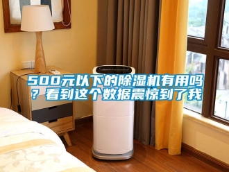 企業(yè)新聞500元以下的除濕機(jī)有用嗎？看到這個(gè)數(shù)據(jù)震驚到了我