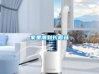 行業(yè)新聞家里潮到長(zhǎng)蘑菇