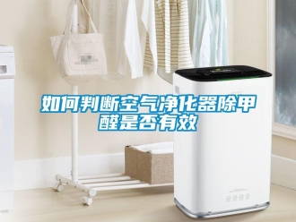 常見(jiàn)問(wèn)題如何判斷空氣凈化器除甲醛是否有效