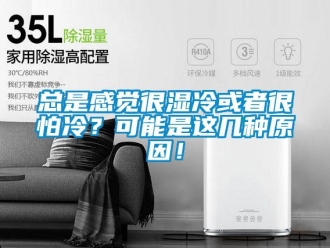 知識百科總是感覺很濕冷或者很怕冷？可能是這幾種原因！