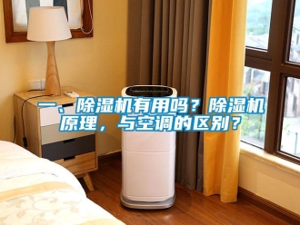 行業(yè)新聞一、除濕機(jī)有用嗎？除濕機(jī)原理，與空調(diào)的區(qū)別？